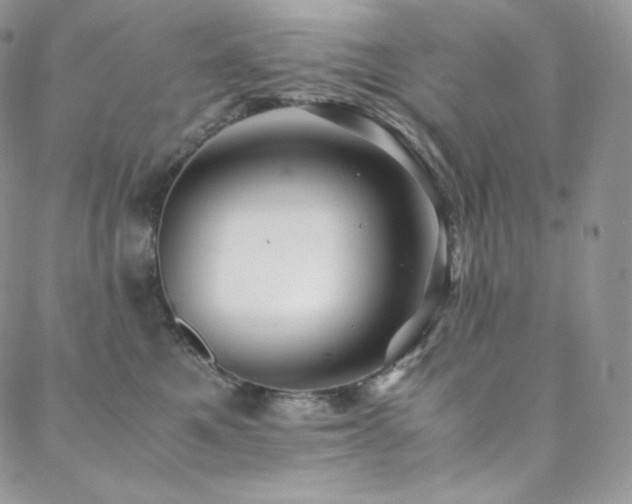 X0000088600521200705251217