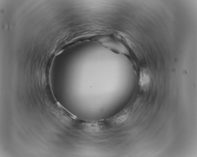 X0000088600524200705251217