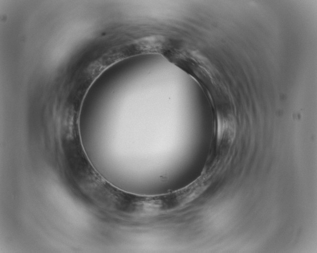 X0000088600525200705251217