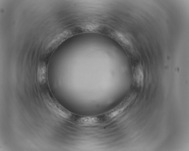 X0000088600526200705251217