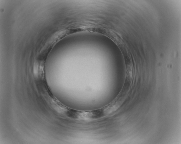 X0000088600527200705251217