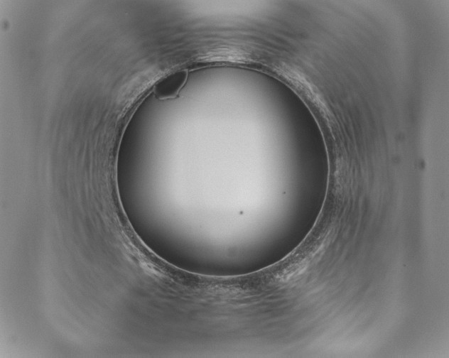 X0000088600529200705251216