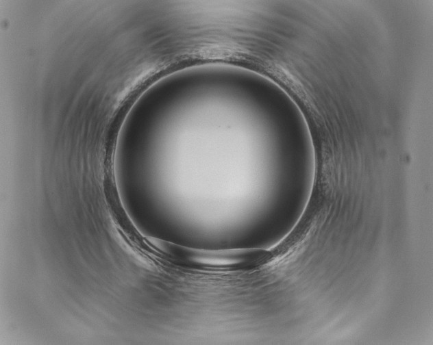 X0000088600530200705251216