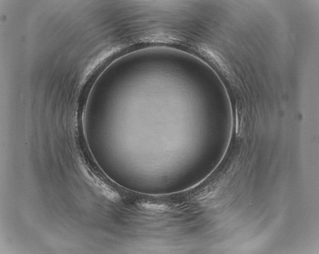 X0000088600531200705251216