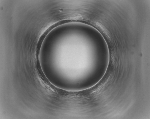 X0000088600532200705251216