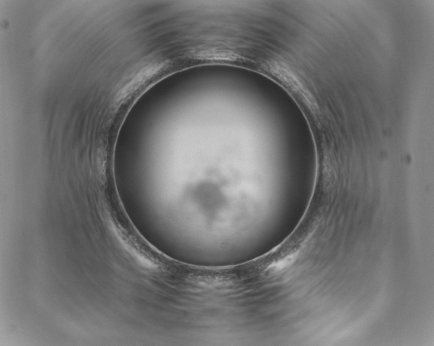 X0000088600533200705251216