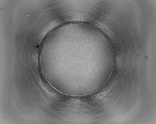 X0000088600534200705251216