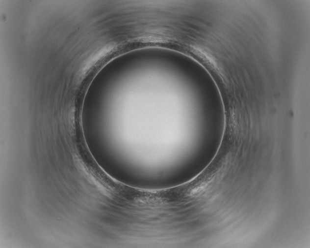 X0000088600535200705251216