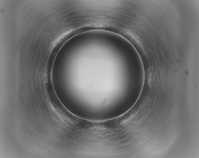 X0000088600536200705251216