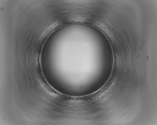 X0000088600537200705251216