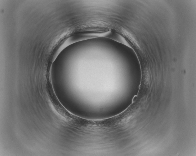 X0000088600538200705251216