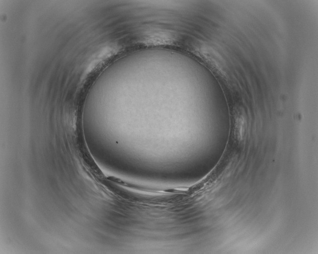 X0000088600539200705251216