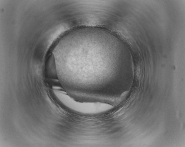 X0000088600540200705251216