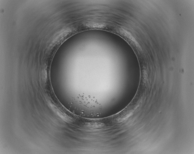 X0000088600541200705251216