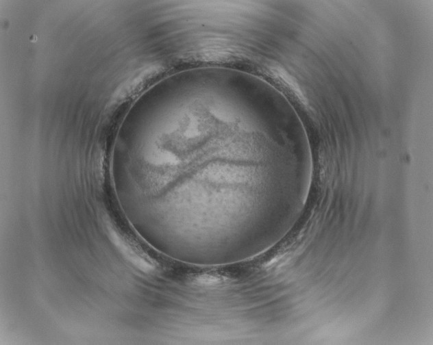 X0000088600542200705251216