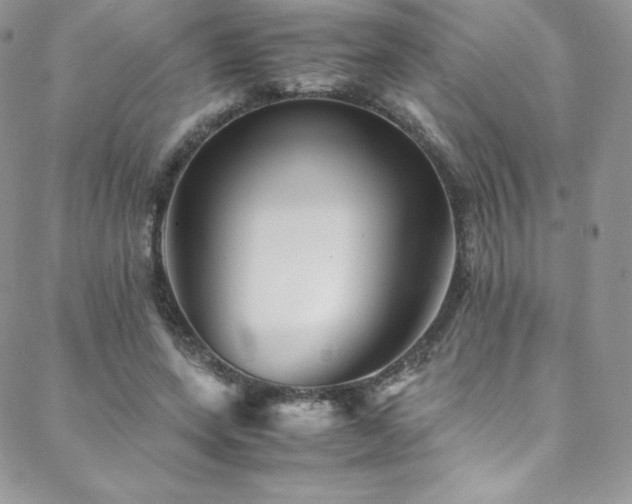 X0000088600543200705251216