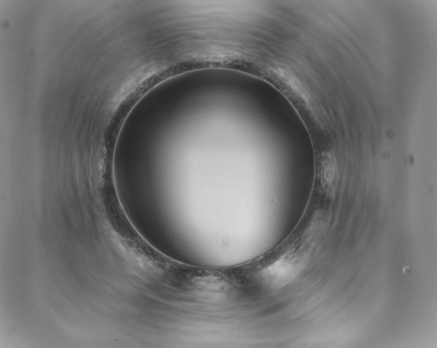 X0000088600544200705251216