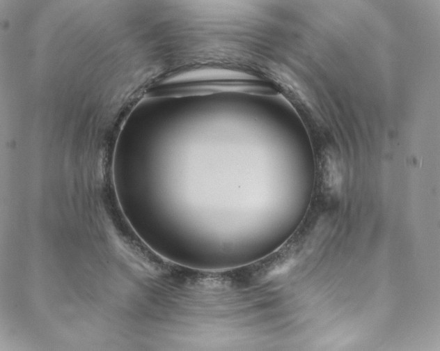 X0000088600546200705251217