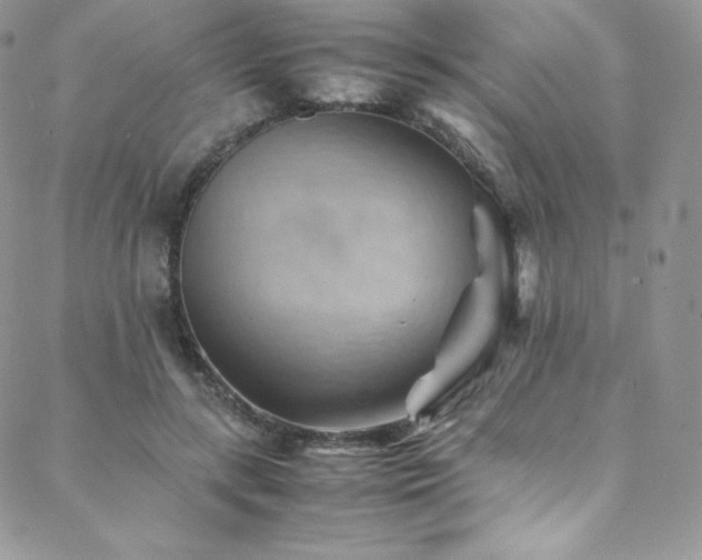 X0000088600547200705251217