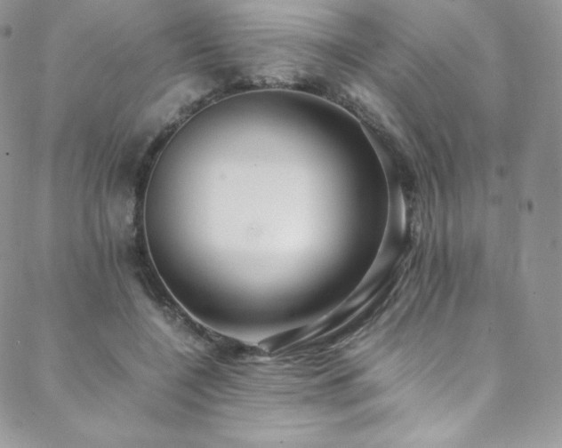 X0000088600548200705251217