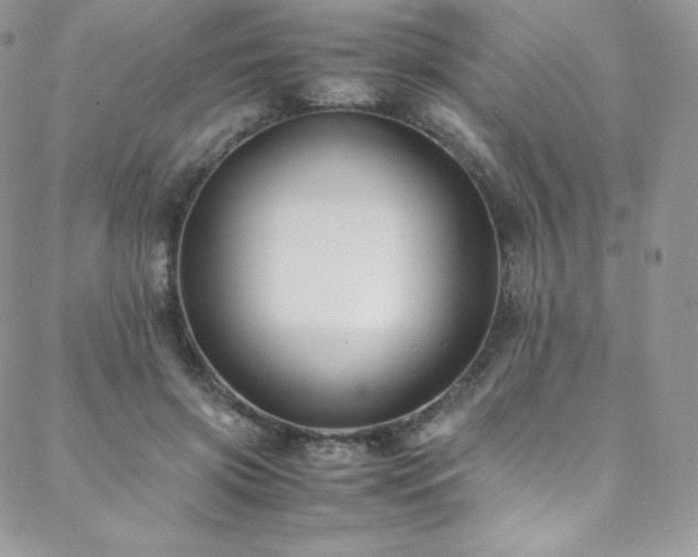 X0000088600549200705251217