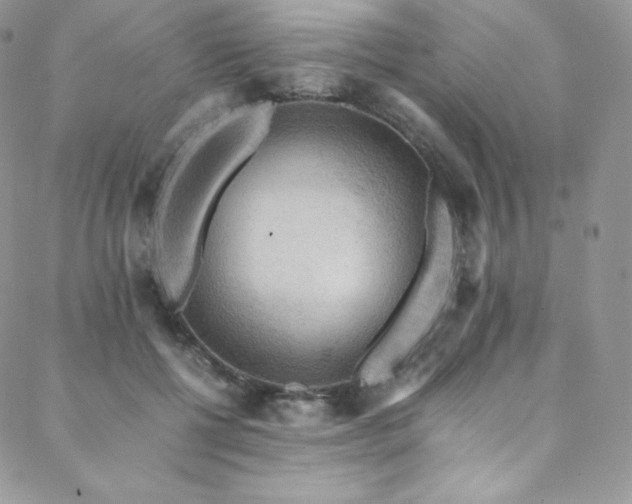 X0000088600552200705251217