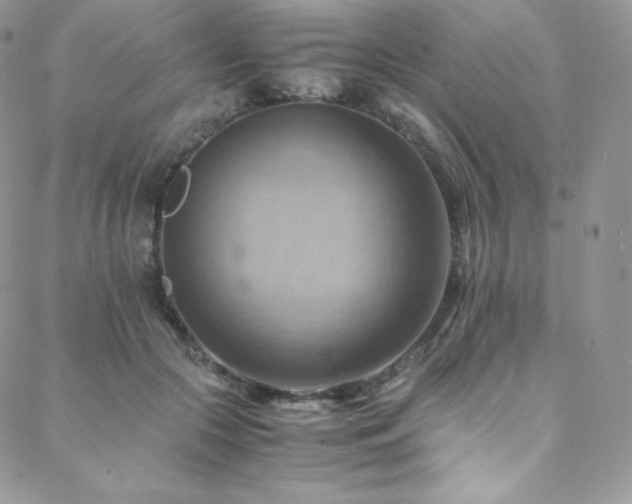 X0000088600553200705251217