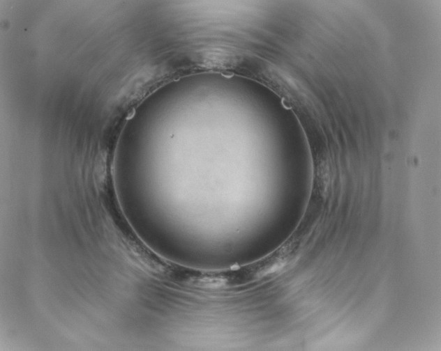 X0000088600554200705251217