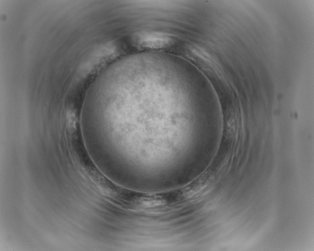 X0000088600555200705251217