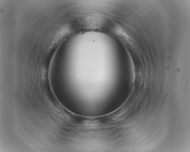 X0000088600556200705251217