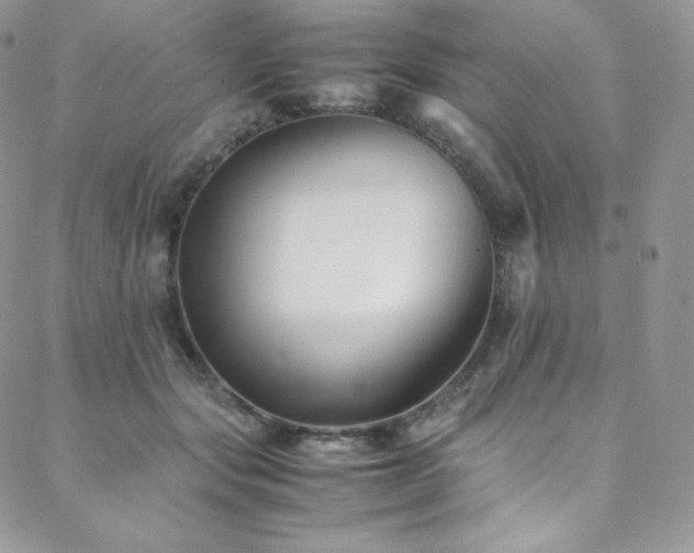 X0000088600557200705251217