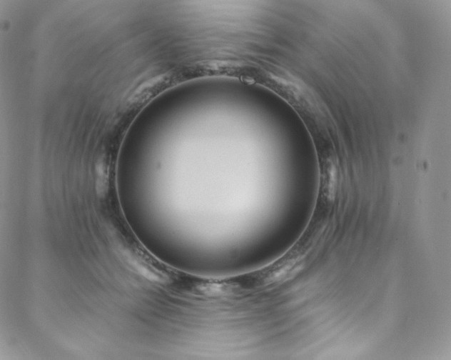 X0000088600558200705251217