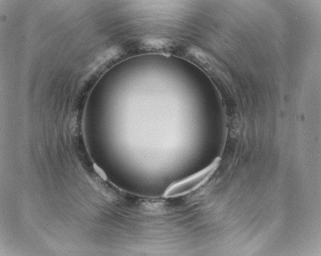 X0000088600560200705251217