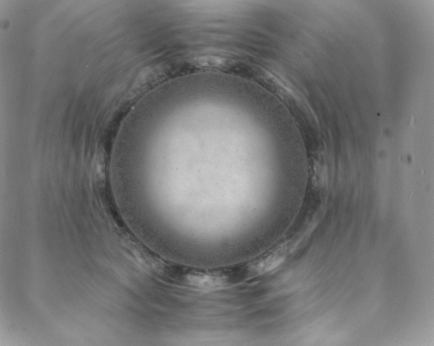 X0000088600561200705251217