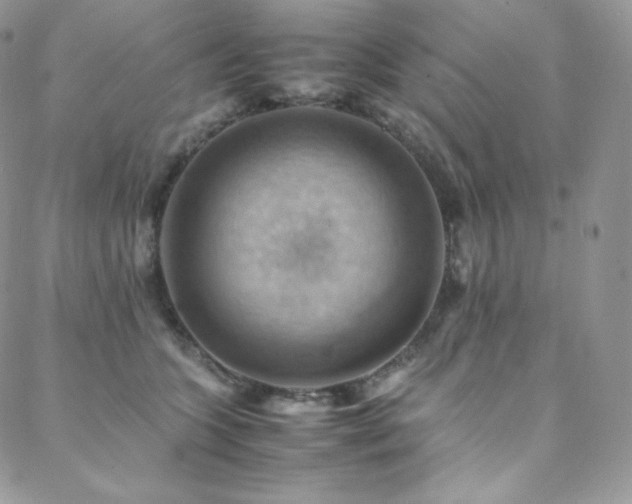 X0000088600563200705251217