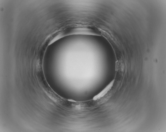 X0000088600564200705251217