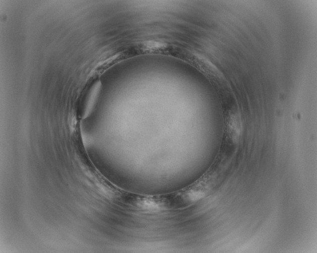 X0000088600565200705251217