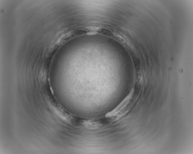 X0000088600568200705251217