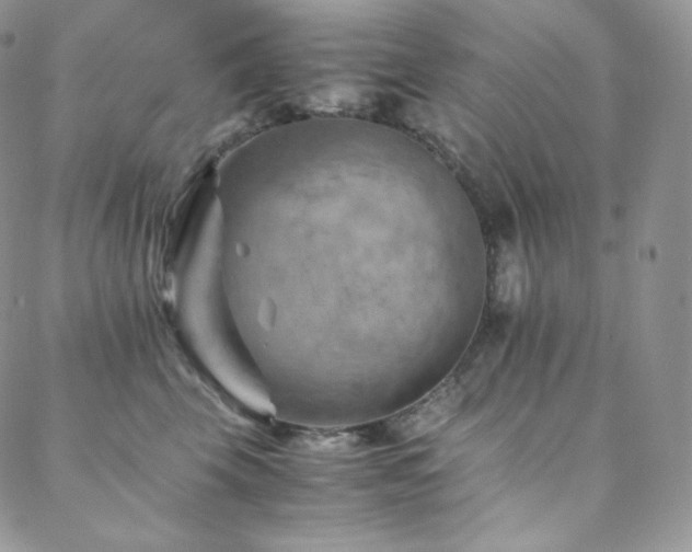 X0000088600569200705251217