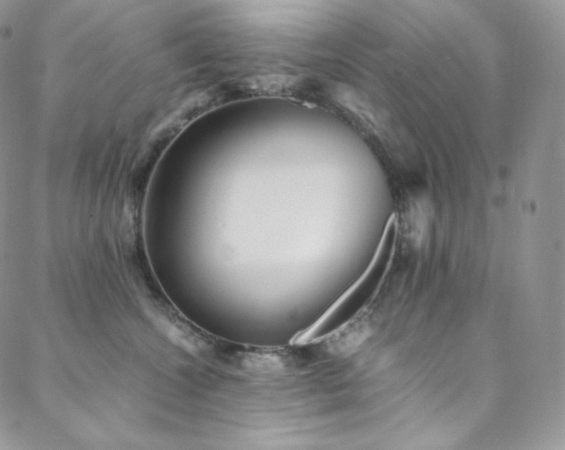 X0000088600572200705251217