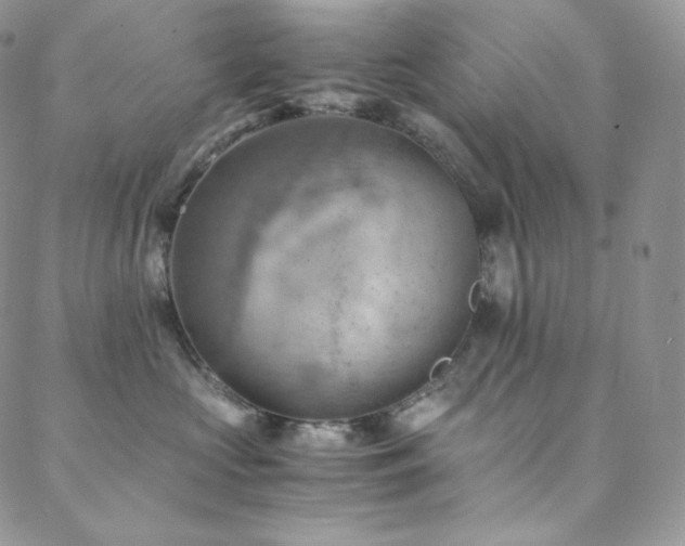 X0000088600573200705251217