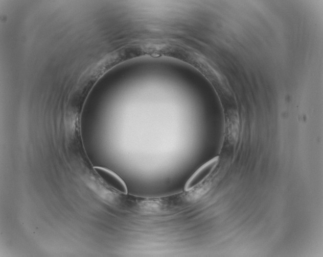 X0000088600574200705251217