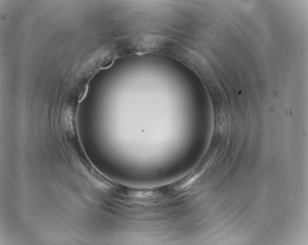 X0000088600575200705251217