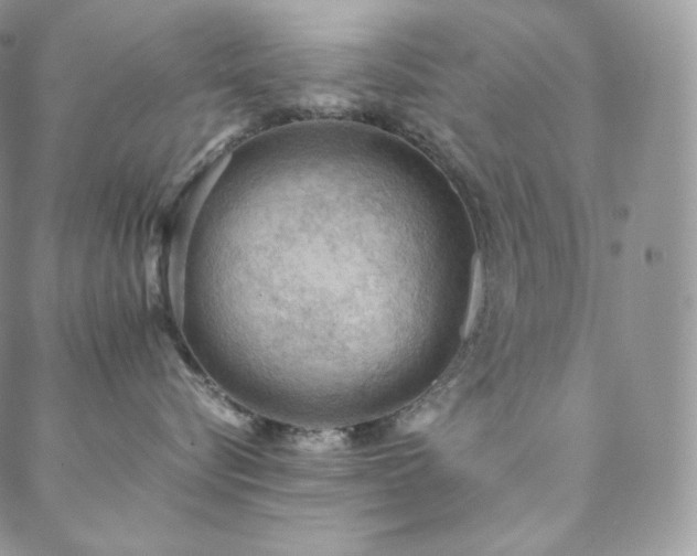 X0000088600576200705251217