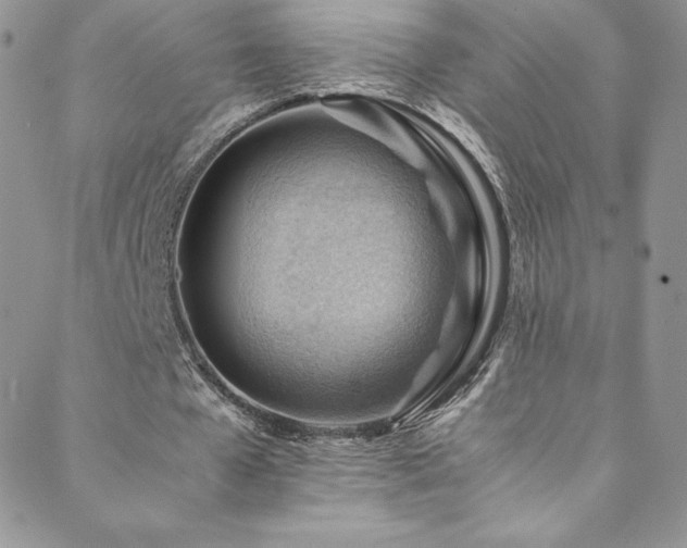 X0000088600577200705251216