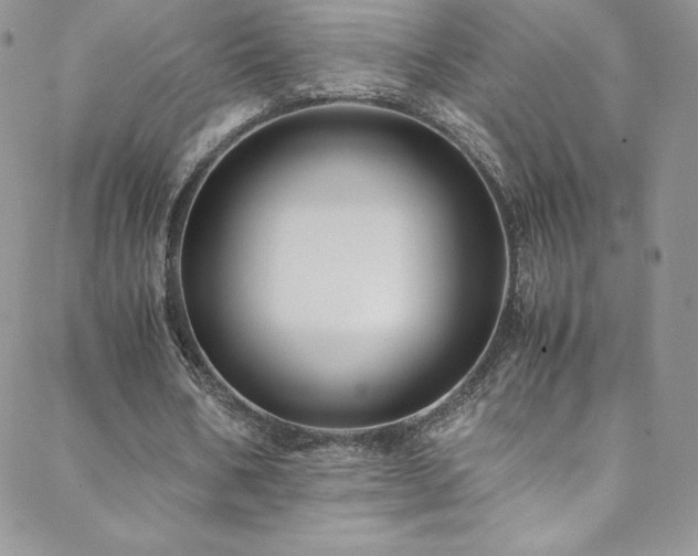 X0000088600578200705251216