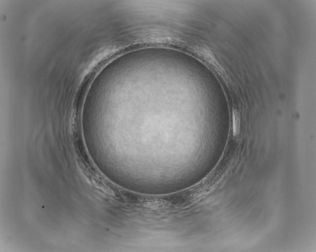 X0000088600579200705251216