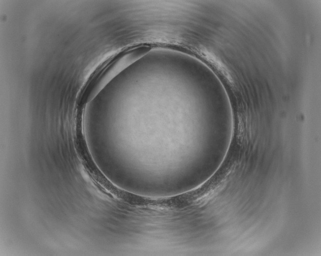 X0000088600580200705251216