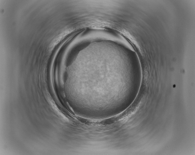 X0000088600581200705251216