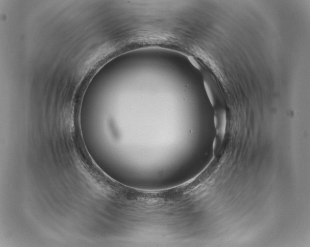 X0000088600582200705251216